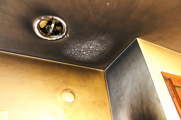 Fire Damage Cleanup in Spanish Fork